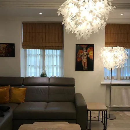 公寓 Luxury In Old Town 克莱佩达